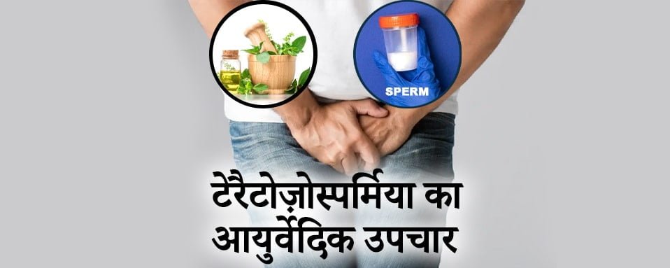 टेरैटोज़ोस्पर्मिया, Teratozoospermia का आयुर्वेदिक उपचार