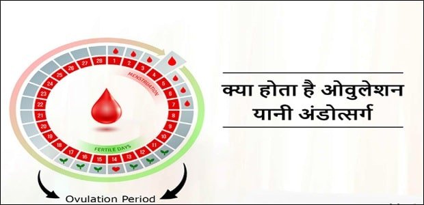 ओवुलेशन को कैसे ट्रैक करें ,  How to Track Ovulation in Hindi 