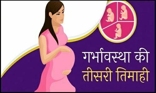 third trimester diet in hindi