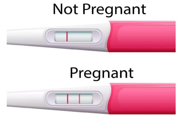 pregnancy test kit