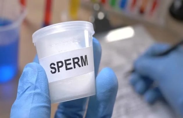 Release sperm every day is good or bad