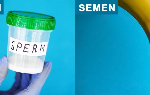 वीर्य और शुक्राणु के बीच अंतर क्या है ? - Difference Between Semen and Sperm in Hindi