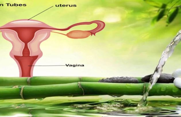 blocked fallopian tube, tubal blockage treatment