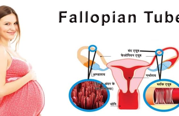 fallopian tube blockage, tube blockage