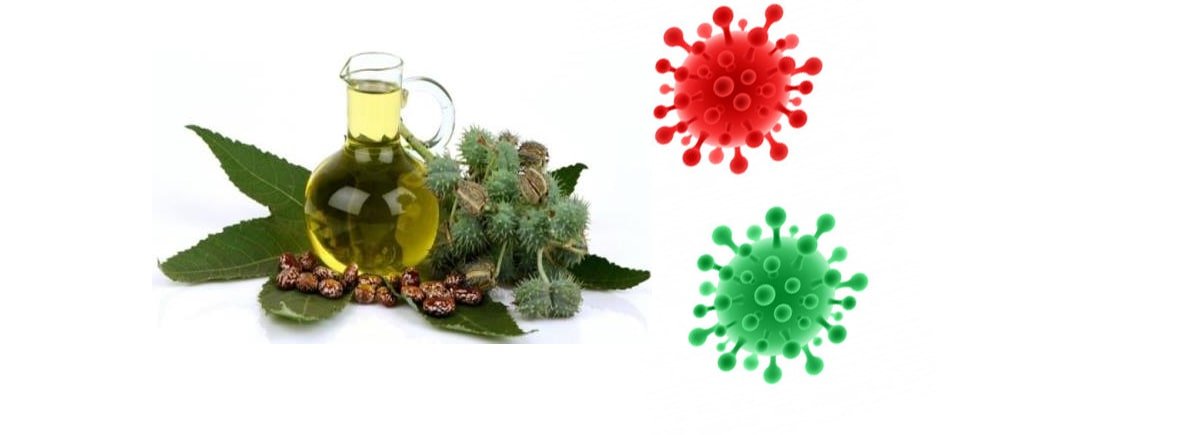 Benefits of castor oil and corona virus