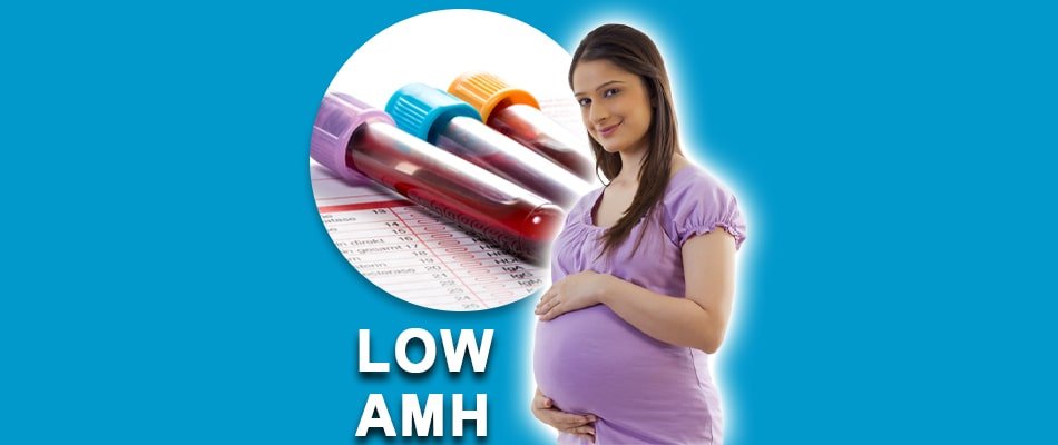 low amh, low amh treatment, amh level