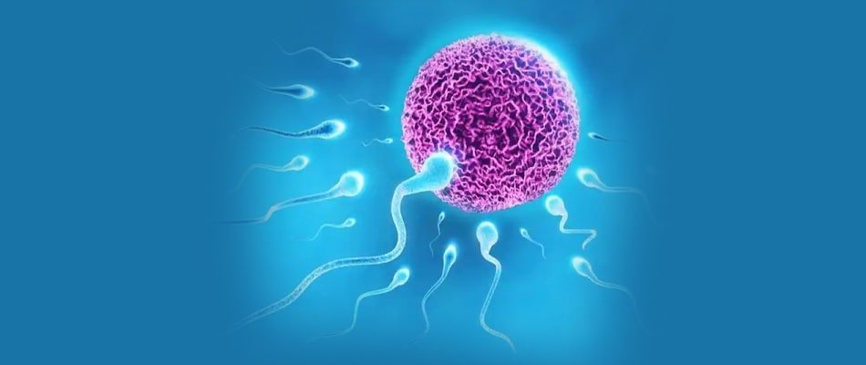 Male Infertility in Hindi, पुरुष बांझपन 