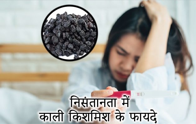 काली किशमिश से करें नि:संतानता दूर - काली किशमिश के फायदे