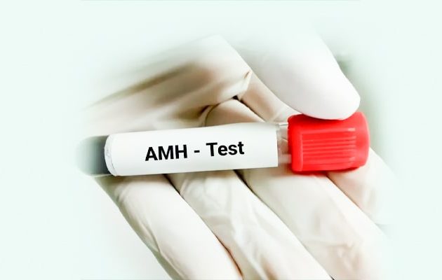 amh level in hindi